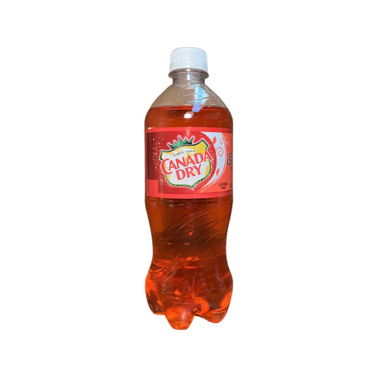Canada Dry 20oz (24/Pack)